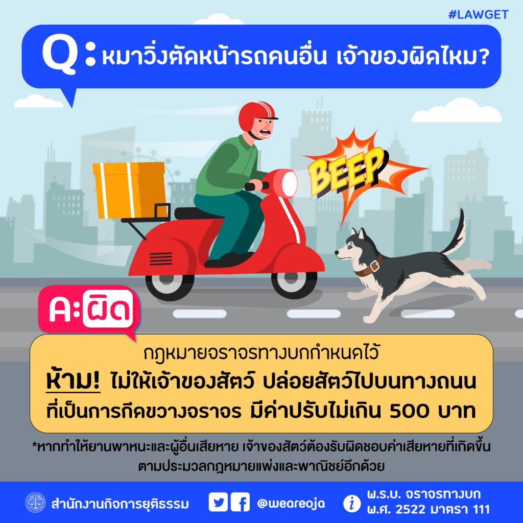 หมาวิ่งตัดหน้ารถคนอื่น เจ้าของผิดไหม?